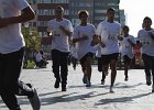 IMG 6030